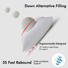24x24 Down Alternative Pillow Insert Euro Decorative Throw Pillow 24 X 24 Inch B