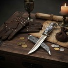 12  Bear Head Fantasy Medieval Fixed Blade Dagger Knife   Decorative Sheath Epic