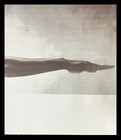 New Michael Jordan Wings Poster Size 21   x62    Digital Print