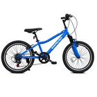 20 Inch Mountain Bike 7-speed Adult Dual Suspension Steel Frame