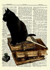 Black Cat Vintage Books Dictionary Curious Art Print Poster Picture Old Book