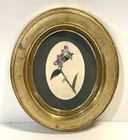 Antique Framed Botanical Print In Oval Gold Gilt Frame