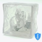 Gelatinous Cube - Monster Menagerie  30 D d Miniature