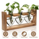 Plant Terrarium Glass Vase With Wooden Stand Decoration Home Office Garden Decor