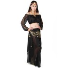 Belly Dance Costume Set Dance Halloween Outfit Skirt Coins Belt Dance Costume