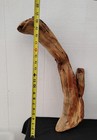 Long Driftwood Branch Woodworking Diy Craft Wood Seasoned Madrone  24 Inches 