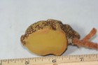 Rare Antique Figural Stippled Celluloid  rabbit Tape Measure  novelty Measuring 
