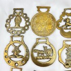 Brass Horse Medallion Lot Of 15 Vintage Lightweight Quail Lion Shire Coin Wheat