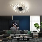 42 Heads Black Modern Led Ceiling Light flush Mount Ceiling Lamp For Dining Room