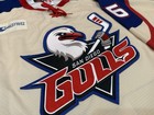 San Diego Gulls Game Issued Ahl Ccm Authentic Military Mic Jersey Luke Gazdic 56