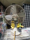 Vintage Robbins   Myers Hunter 18  Oscillating Fan  Model Cg16 1 235  See Video