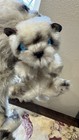 Vtg Avanti Jockline Plush Himalayan Cat 1983 Applause Stuffed Animal Posable Mom