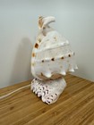 Vintage Nautical Conch Shell Table Tv Lamp Night Light  Shell Base