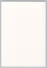Shark Sea Life Theme 4x6 New 2026 Image Card