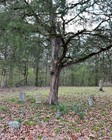 Paranormal Doll  haunted Hunies 10oz Graveyard Dirt  Spells  Power  Authentic 