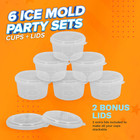 6 Pack Hawaiian Shaved Ice Mold Party Set With Lids  Up Your Game For Much More