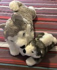 Aurora Jumbo Husky Wolf Flopsies Mush Plush 27    Blue Eyed  Plus Mini Pup Buddy
