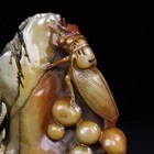 Chinese Natural Shoushan Stone Hand-carved Cicada Statue Seal Ornament              1572