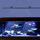 45inch Led Aquarium Light Strip Bar White blue Spectrum Fish Marine Reef Coral