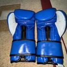 Cleto Reyes Training Gloves With Hook And Loop Closure  16oz  Brand New  