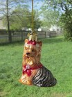 Kurt Adler Noble Gems Glass Yorkie Yorkshire Dog Christmas Ornament Red Scarf