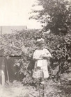 Vintage Old Antique Photo Picture Girl In Dress Outside Holding Baby Doll Toy