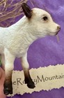 Schleich White Calf Galloway Baby Cow Farm Ranch     Food New Sealed