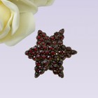 Antique Mourning Jewelry Bohemian Garnets Star Tube C Clasp Gilt Gold Pin Brooch