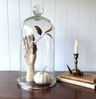 Antique Scientific Domed Glass Cloche Bell Jar Apothecary Lab 18   