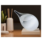 Ggpower Storm Glass Weather Stations Water Drop Weather Predictor