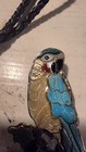 Vintage Signed Zuni Virgil And Shirley Benn Sterling Inlay Parrot Bolo pendant 