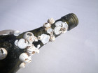 Sea Glass  Wine Bottle With Barnacles On It