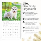 Red Ember Signature - Kittens   Puppies New 2026  05 -   