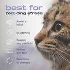 Cat Calming Diffuser Buddyjoy  2 Diffusers   2 Refills  New - Free Shipping