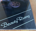 Beauty Rising Framed Poster Hot Girl Model Classic Car Man Cave 16x20 Vintage