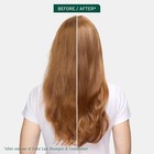 Biolage Color Last Shampoo For Color-treated Hair - Vegan   Nourishing