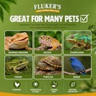 Live Crickets For Reptiles  Birds   Fishing - 100 Count Gut Loaded Feeder Insect