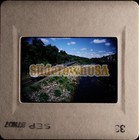 Vtg 1987 Train Slide 225 Amtk Amtrak Engine Y1k038