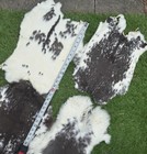 Lot 4 Natural Spotted Rabbit Skin Pelts Fur Hide Leather Tanned Bunny Skin Craft