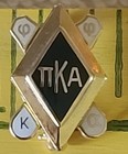 Pi Kappa Alpha Pin   Mini Pledge Pin Tiny Enamel Rare Pin Set Of 2