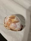 Tiger Cowrie Shell Carved Polished Cranes And Sunset Collectible Preowned