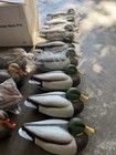 Redhead 12pk Mallard Decoys From Bass Pro  Shop  Box Of Duck Decoys