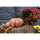Straw Bale Full Size