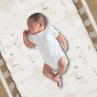 Lambs   Ivy Treetop Fox Woodland Breathable Cotton Fitted Crib toddler Sheet
