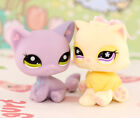Mini Pet Shop Lps Sitting Cat Persian Cat  763  1994 Girl Kids Cute Gift Lps