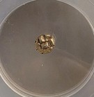Ionia Swastika 1 24th Stater Ngc Ch Xf Ancient Electrum Coin 625 Bc