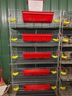 Tof Complete Coturnix Quail Cage System -- Free Shipping -- Just Add Quail 