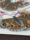 Vintage Framed Silk Embroidery Butterflies Floral Needlework Wall Art 9x9