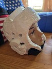 Kids Taekwondo Sparring Gear Set Lot Aama Wtf Kpm Shoes Guards Helmet Bag As Is
