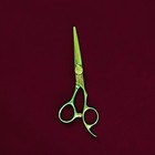 Precision Point Cut Hair Shears Scissors 5 5  Metallic Green Titanium Vg10 Rh